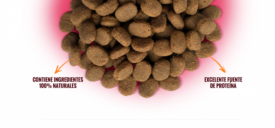 NOMADE ALIMENTO PARA PERROS ADULTOS / 20 KG - Imagen 6